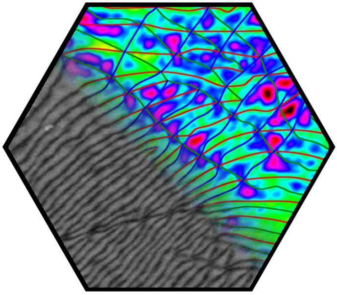 Hexagon - Highlight - Role of Defects