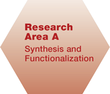 SFB953Research-Area-A_2